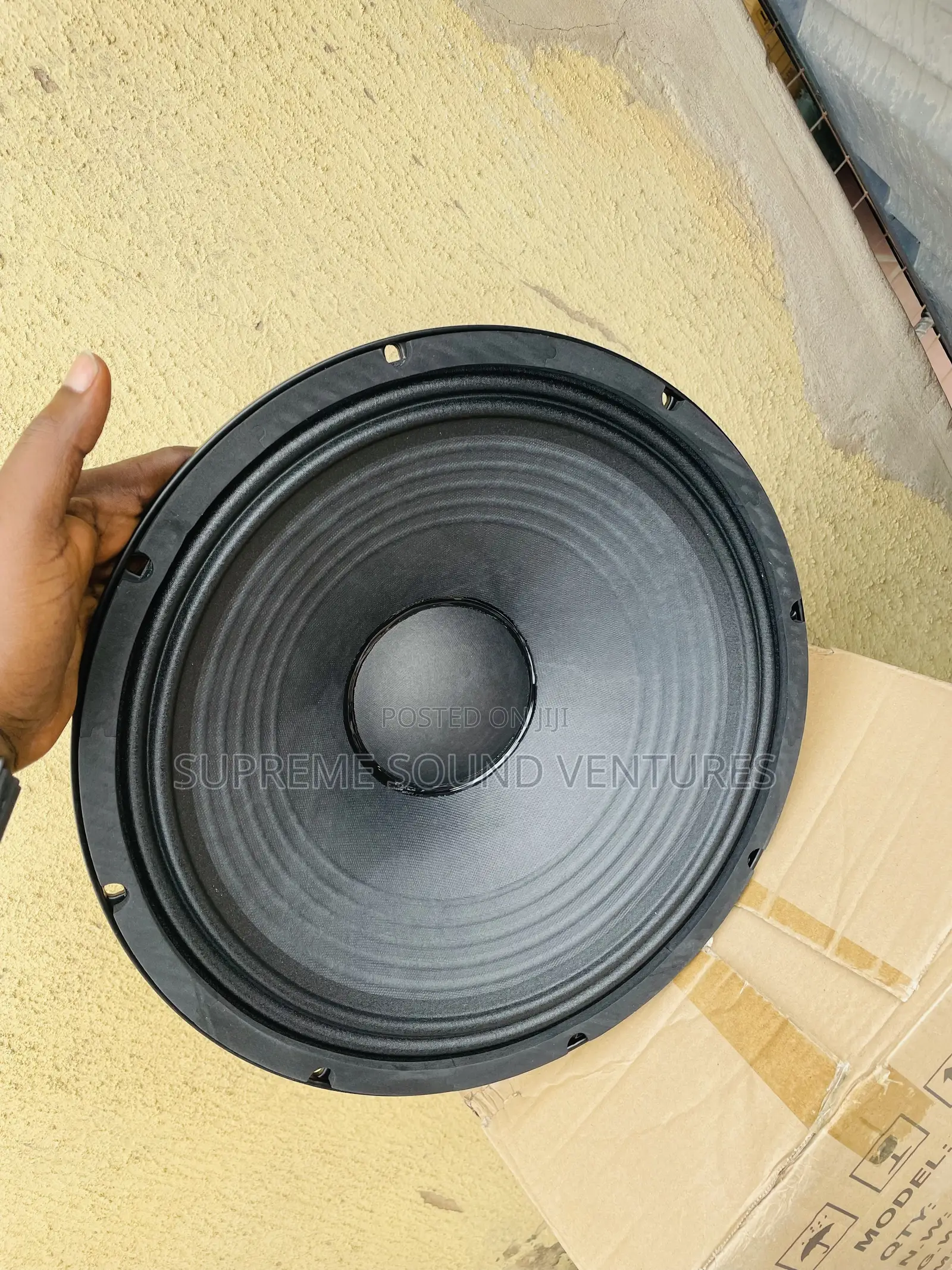15 Inches Big Magnet Speaker