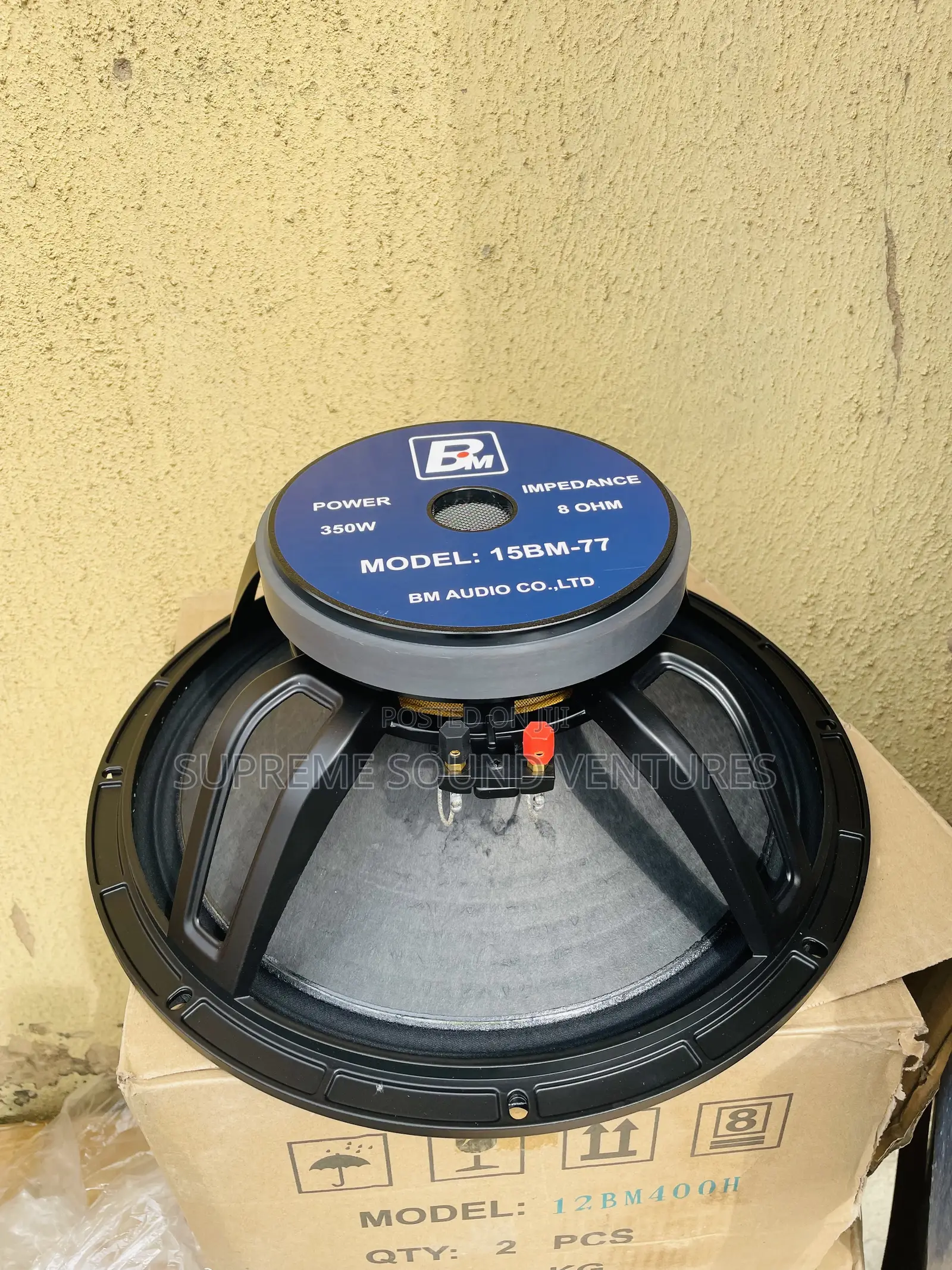 15 Inches Big Magnet Speaker