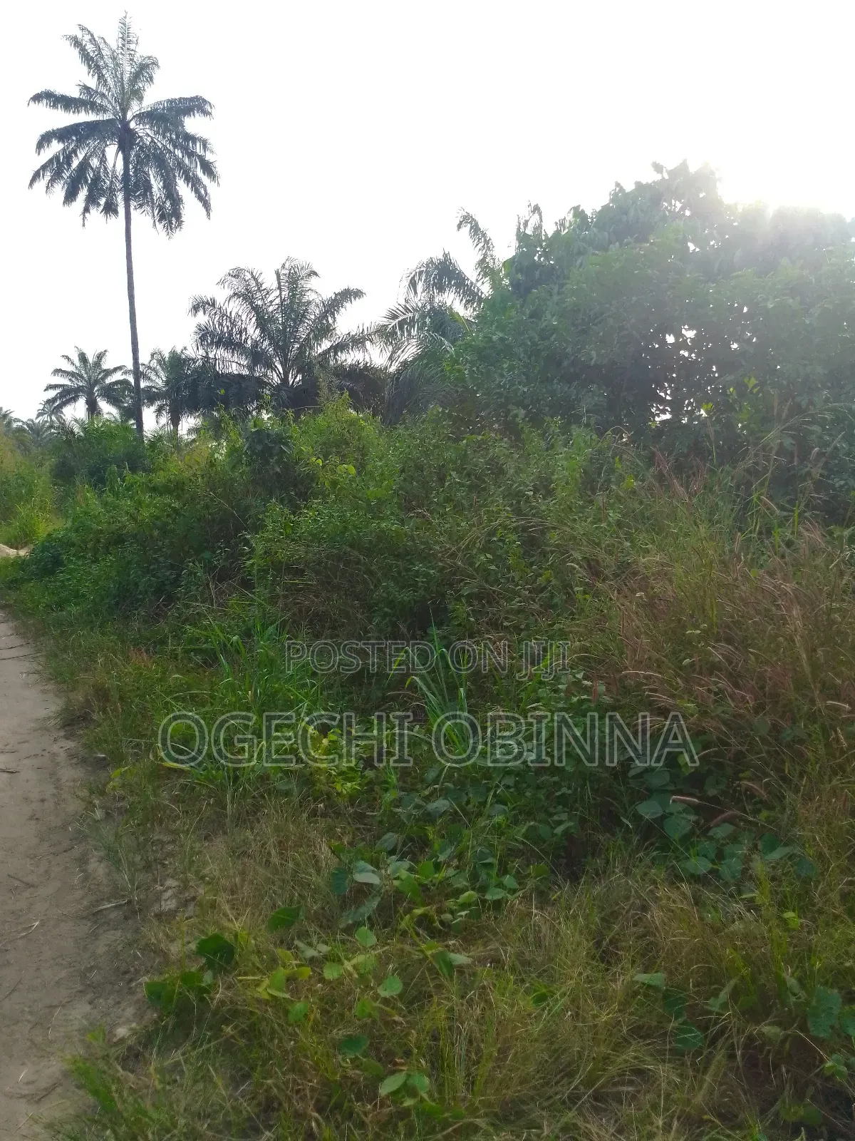 Distress Genuine Mass Land for Sale