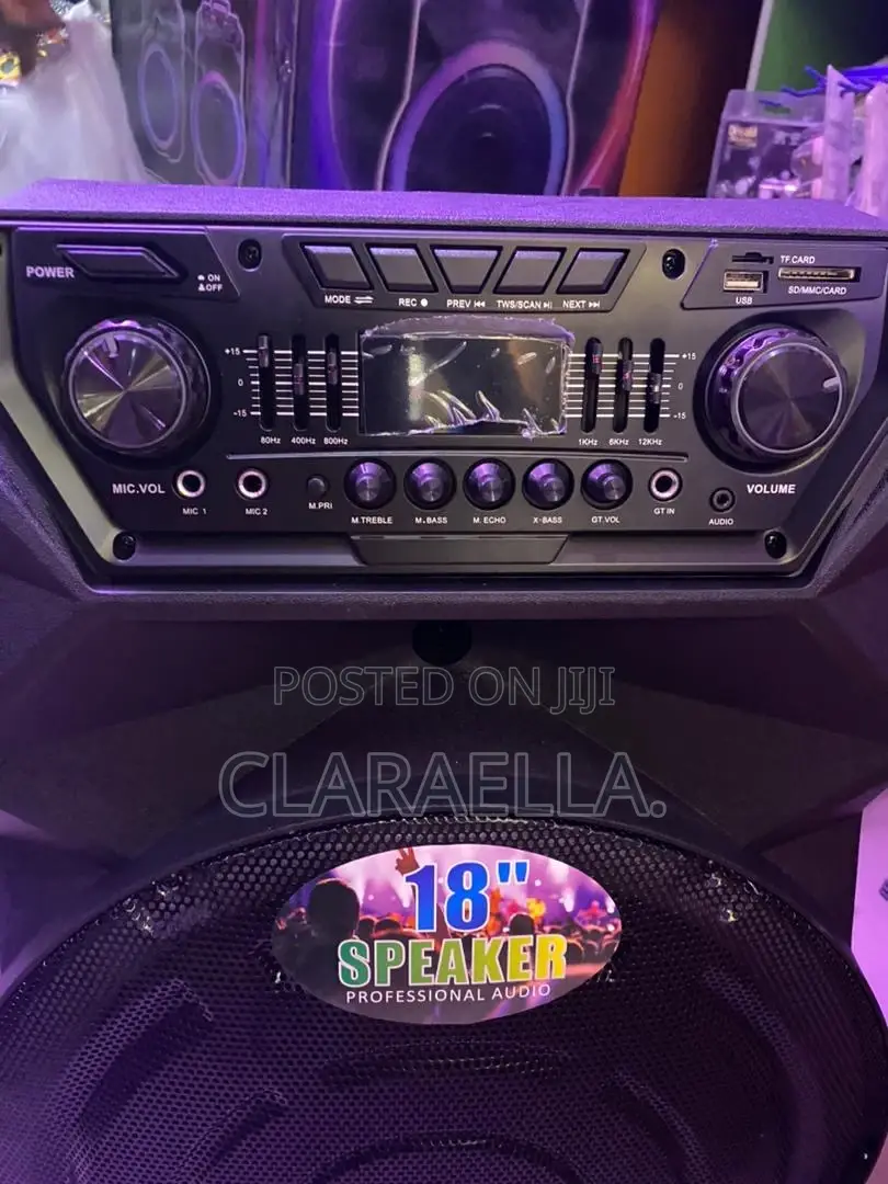 Meirende 18-Inch Professional Audio Speaker