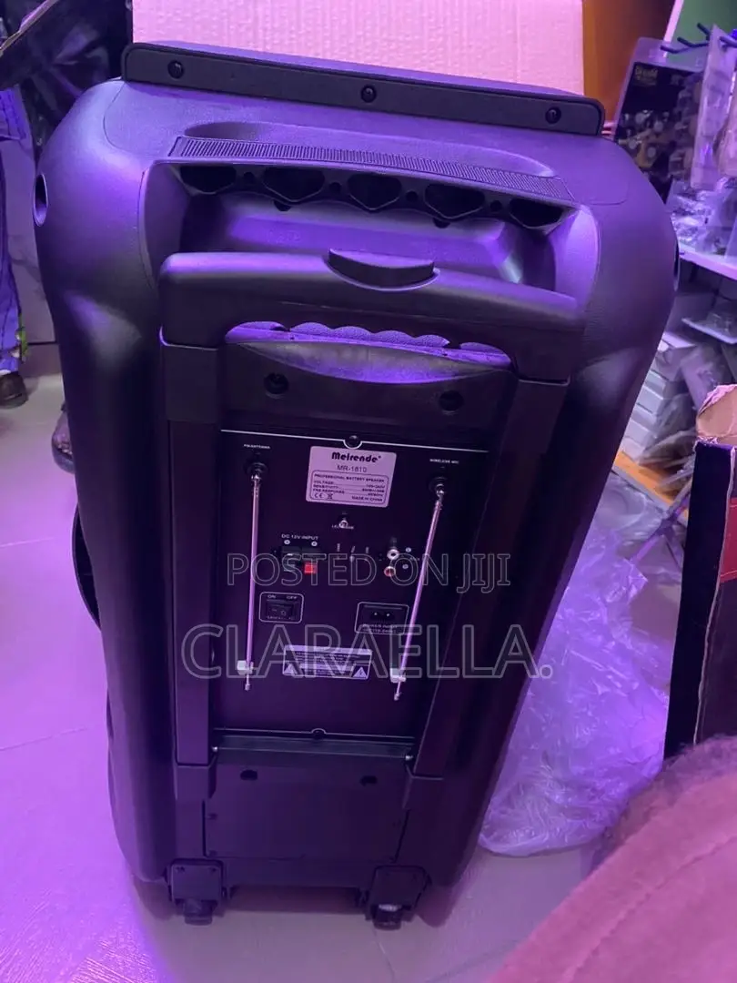 Meirende 18-Inch Professional Audio Speaker