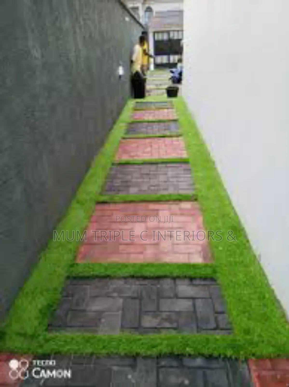 Carpet Grass