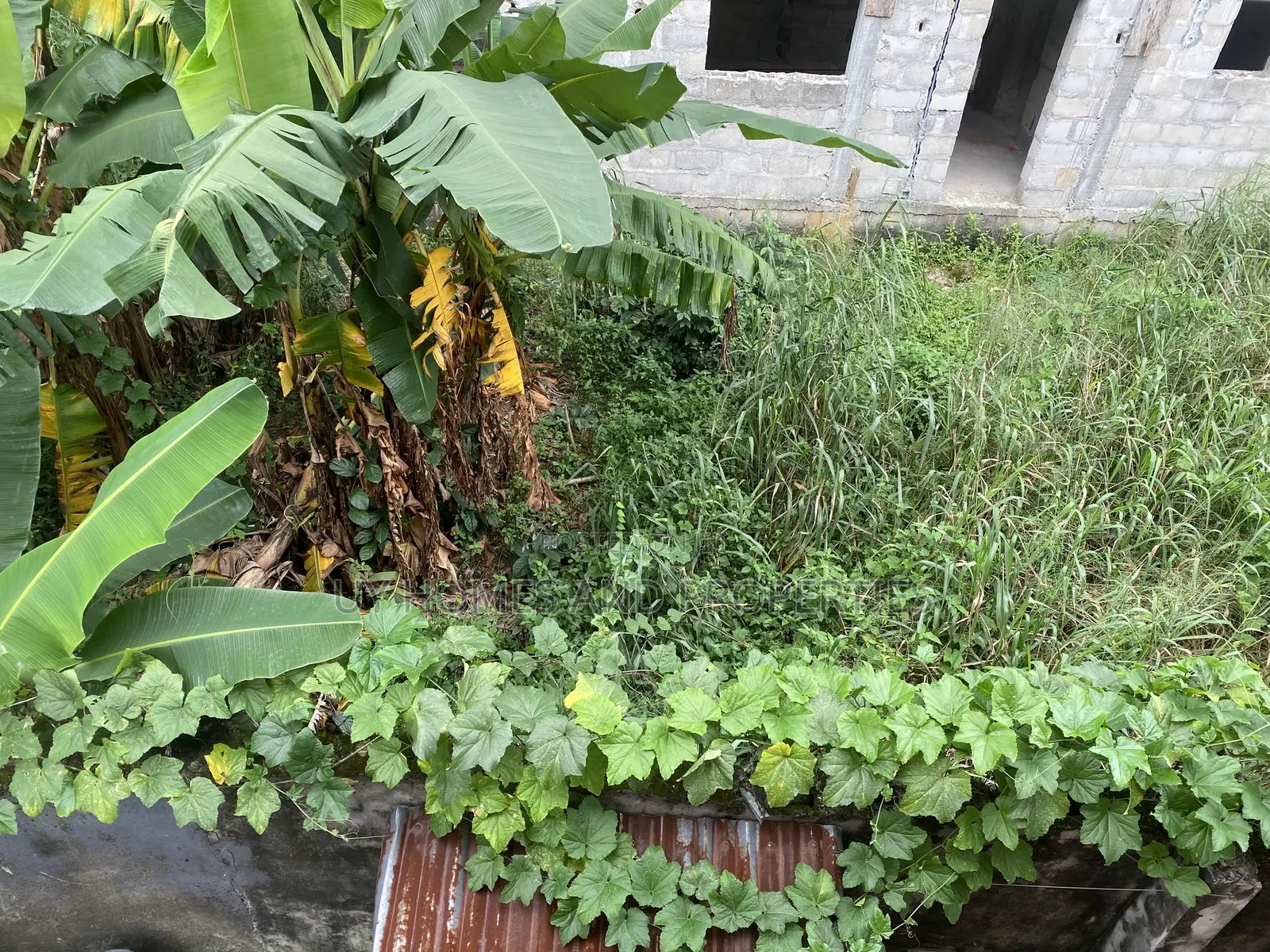 One Plot of Land for Sale
