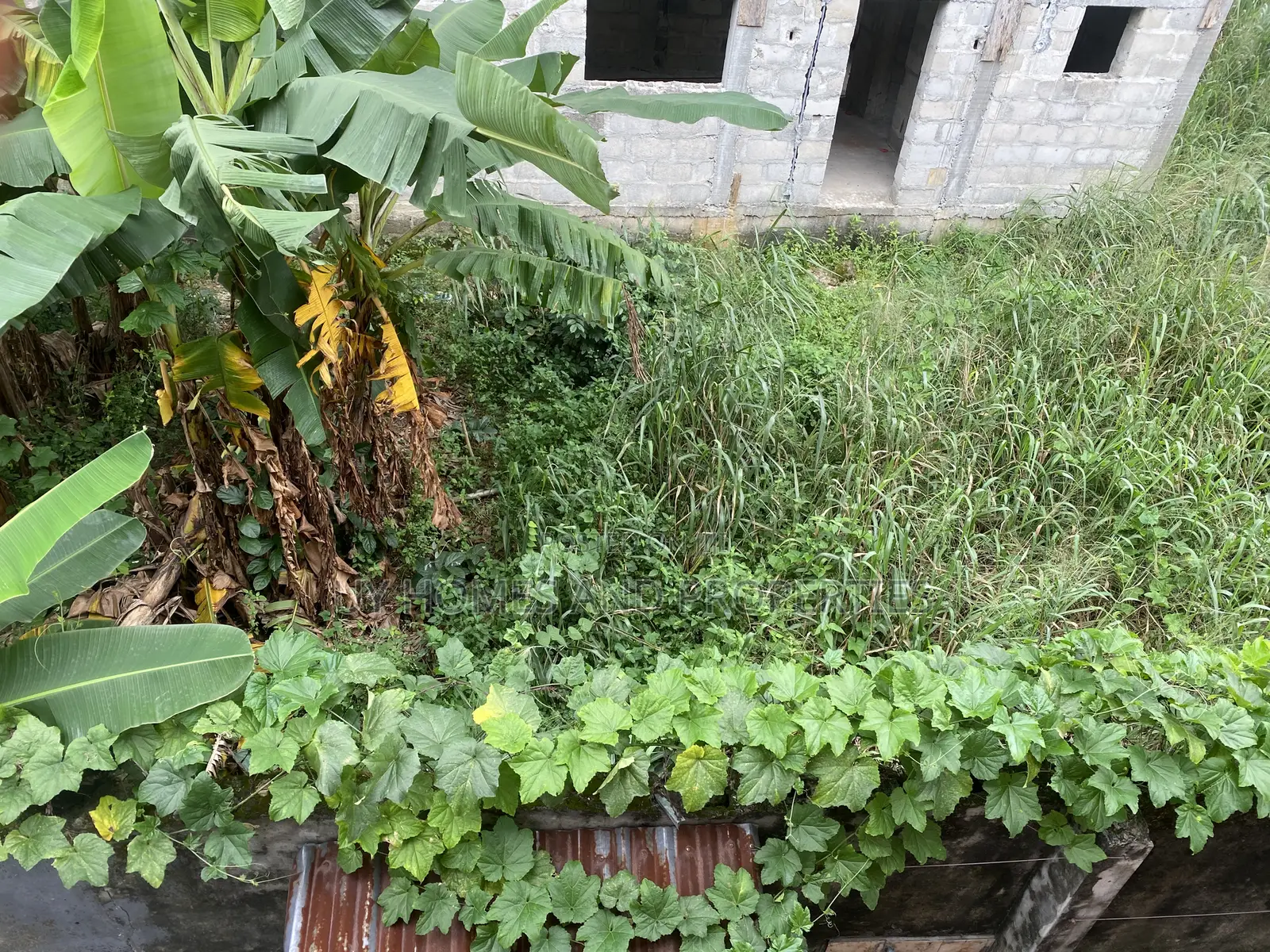 One Plot of Land for Sale