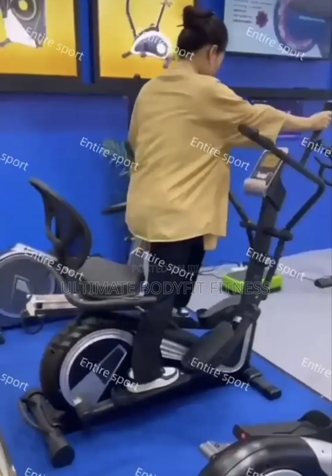 Brand Hg-6813 Cross Recumbent Exercise Bike