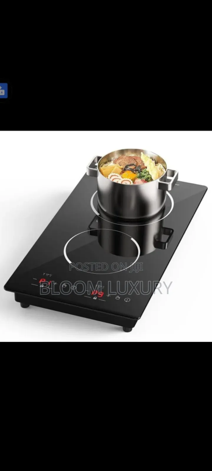 Inbuilt Two Burner Hotplate