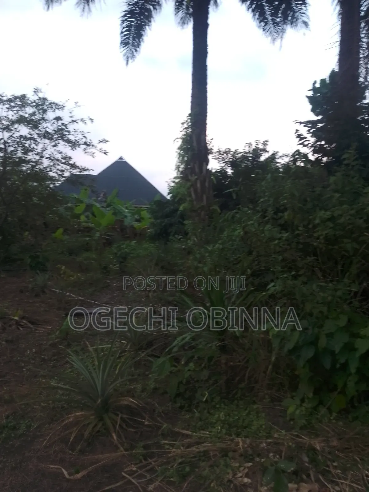 Distress Buy And Build Plot At Ulakwo Etche