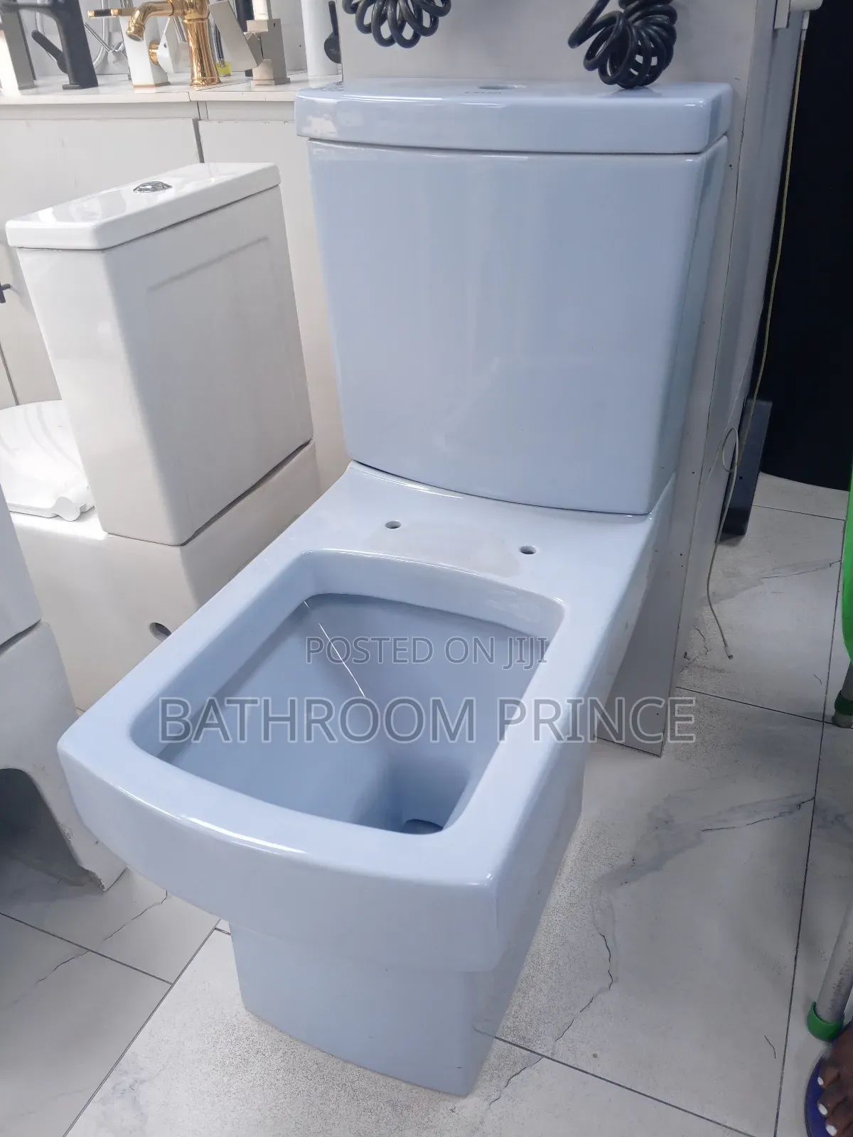 Luxury Blue Water Closet