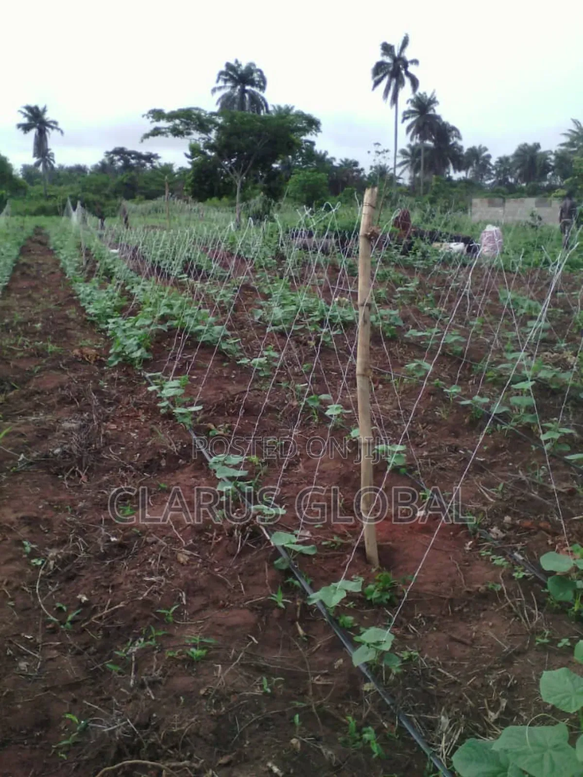Agro and Irrigation System