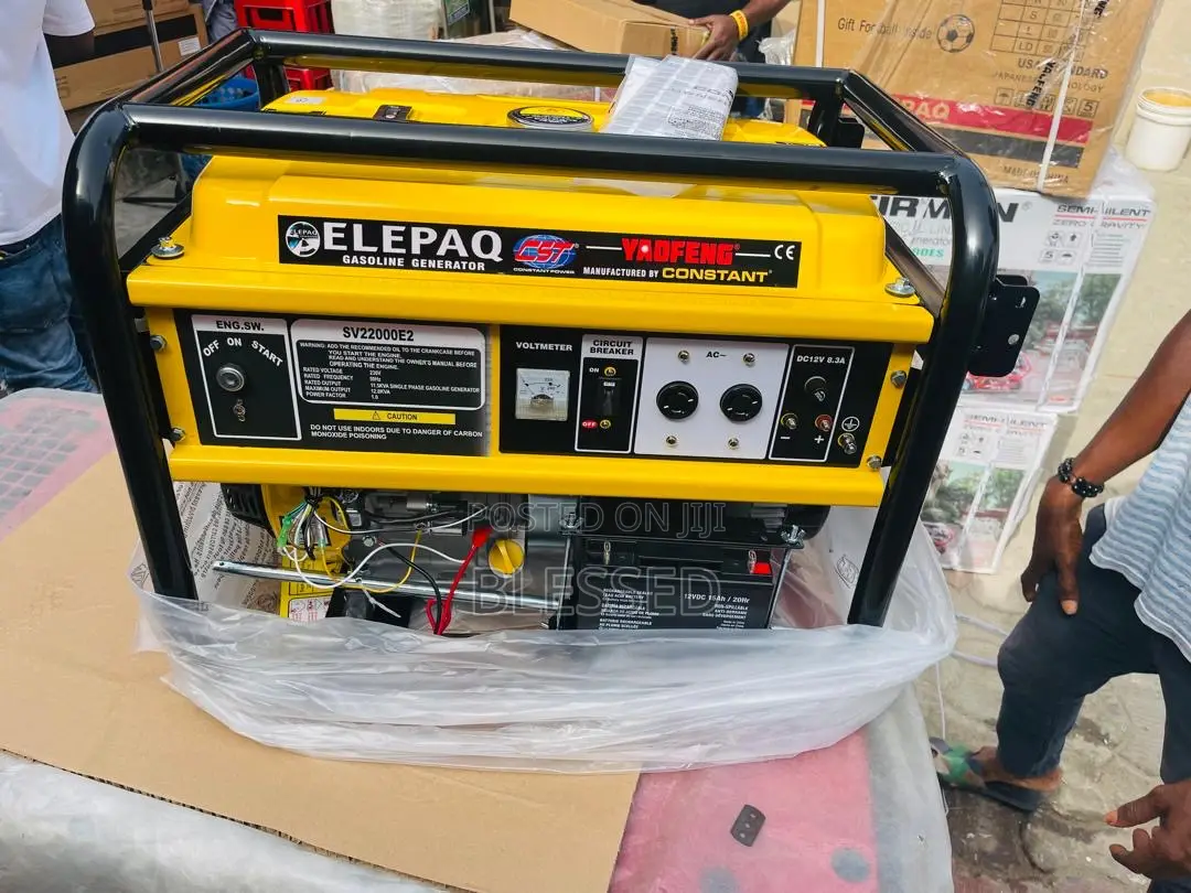 Elepaq Sv 22000e2 12kva