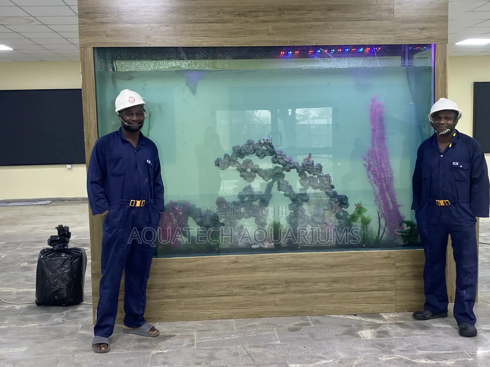 Aquarium Maintenance