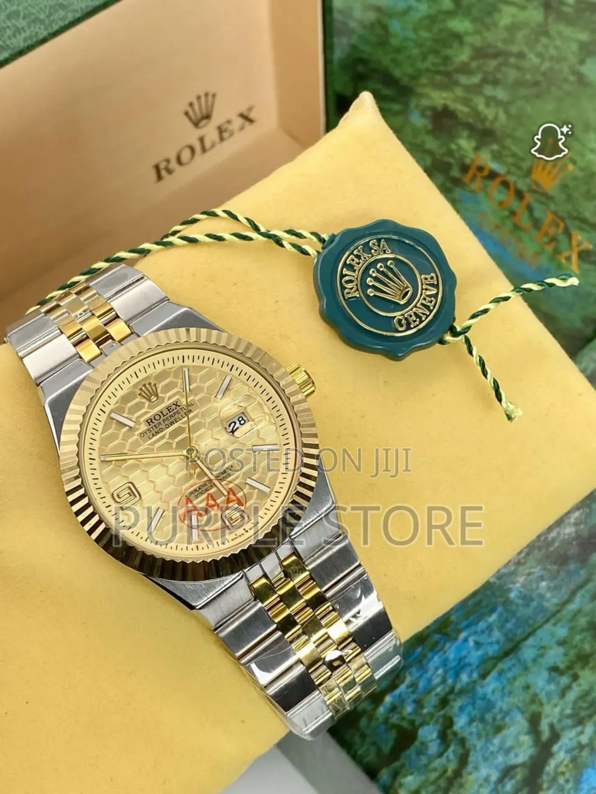 Rolex Land Dweller Automatic Movement Watch Silver