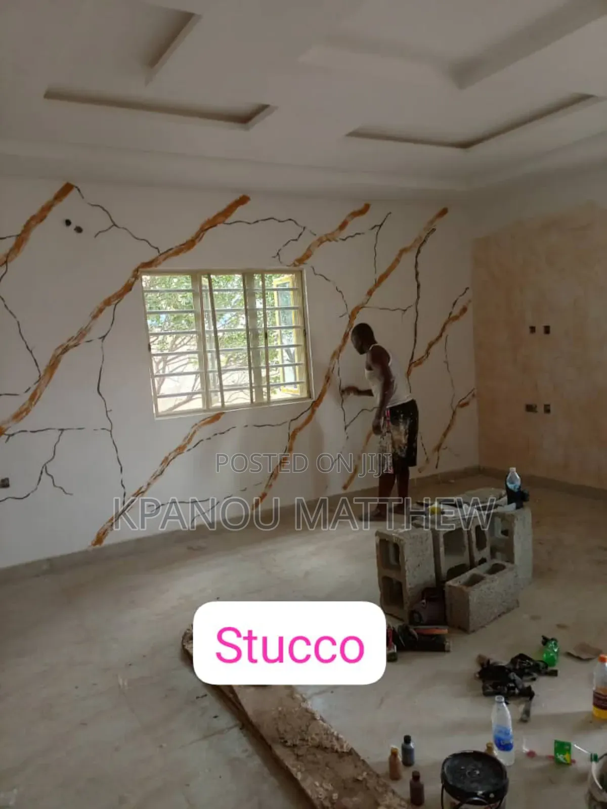 A Professional Painter