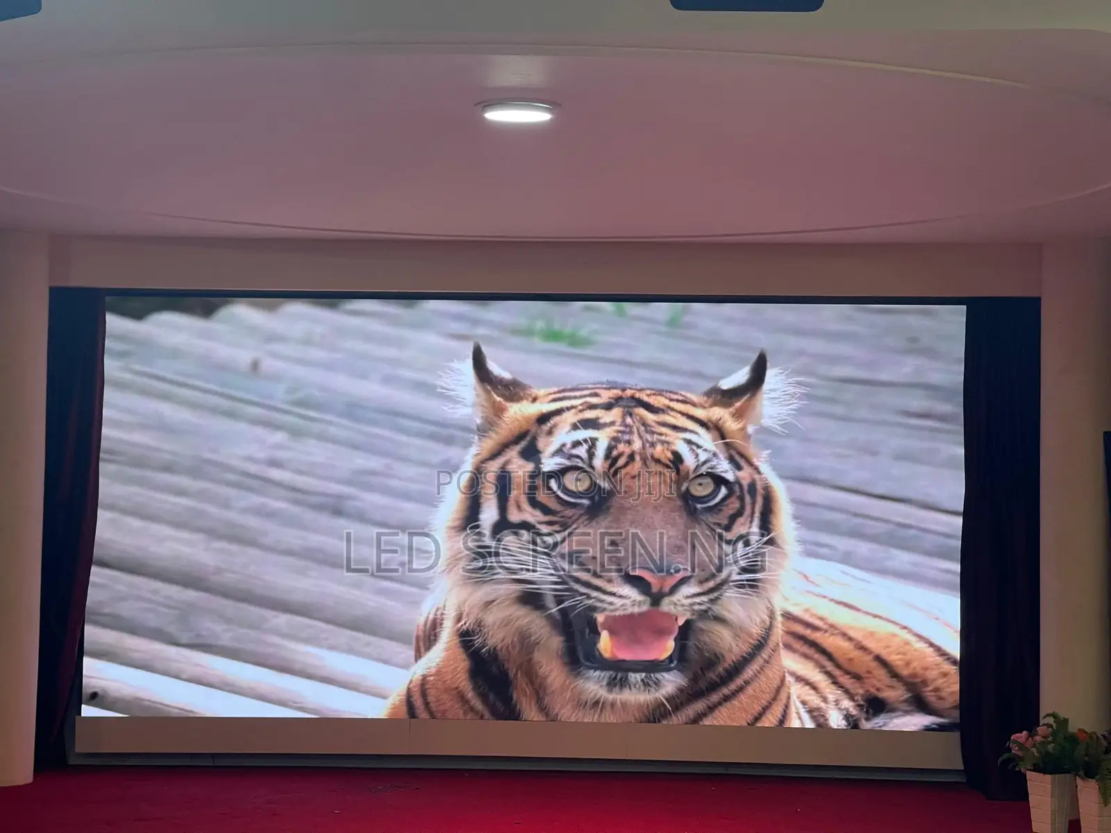 Bright Attractive Indoor Led Screen Module