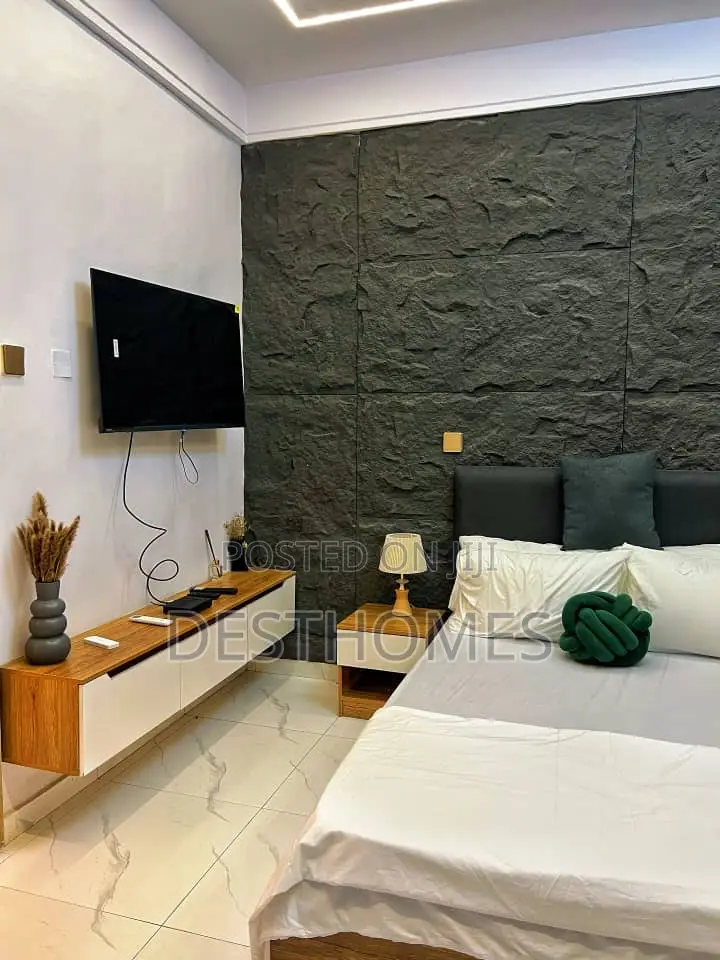Cozy Studio Apartment at Surulere
