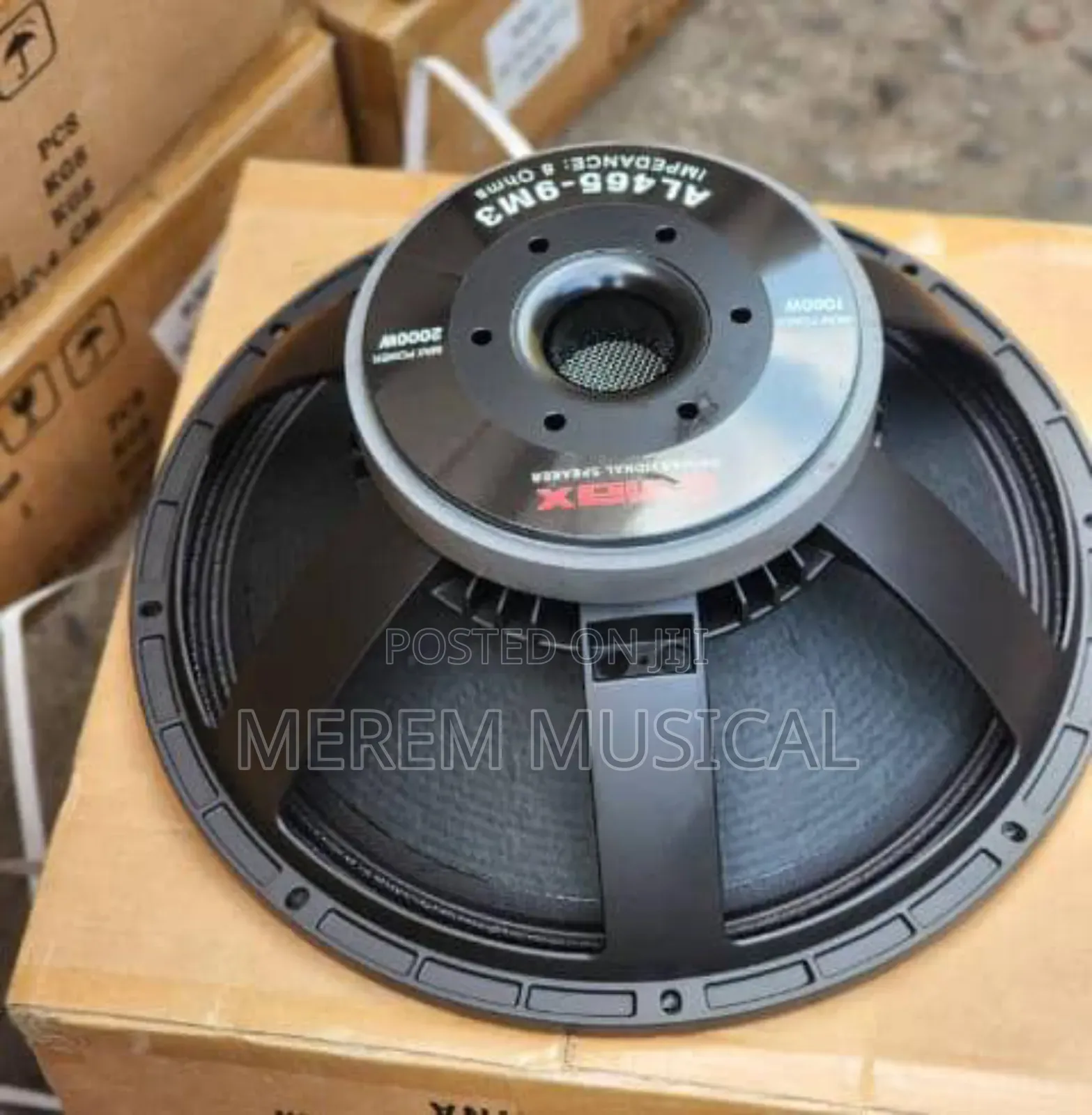 18" Omax Naked Speaker
