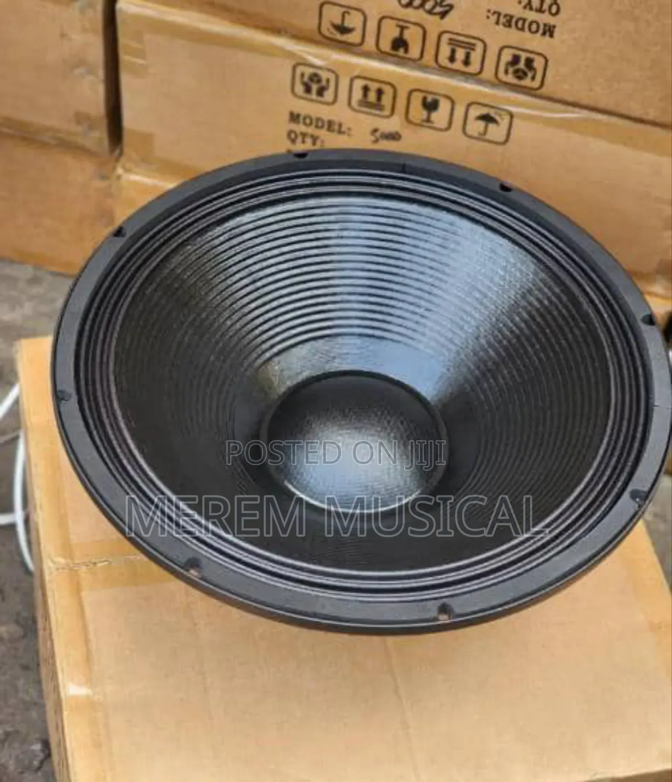 18" Omax Naked Speaker