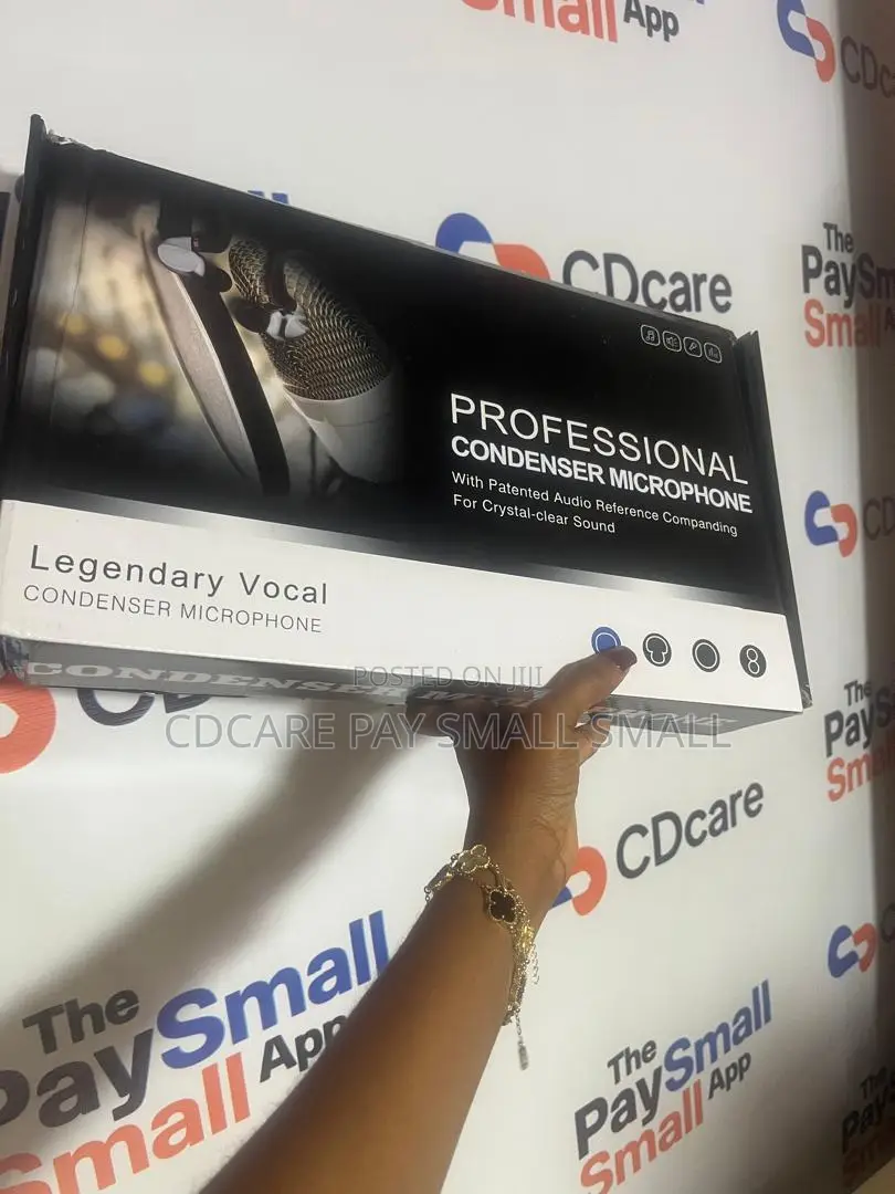 Pay Small Small Professional Studio Microphone On Cdcare.App