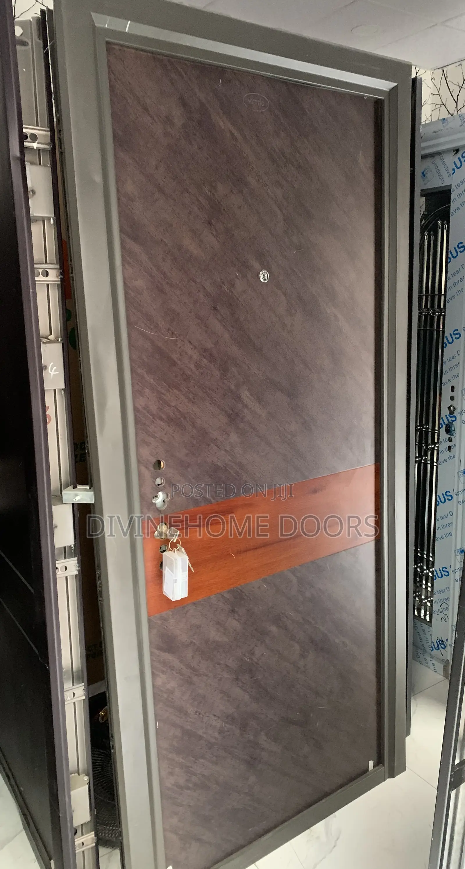 Wood Finished German Steel Door