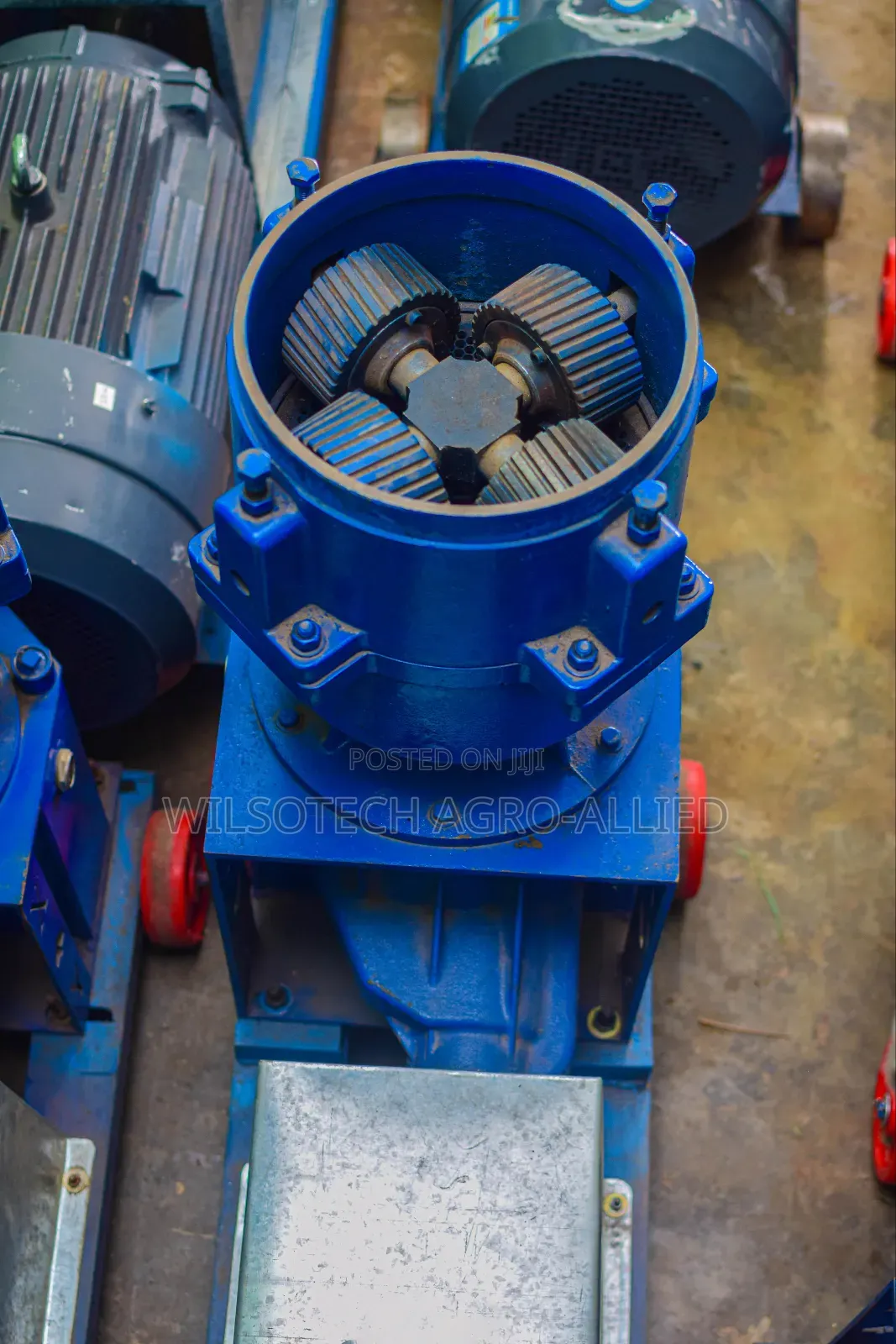 1ton/Hr Pelletizer Ready for Delivery