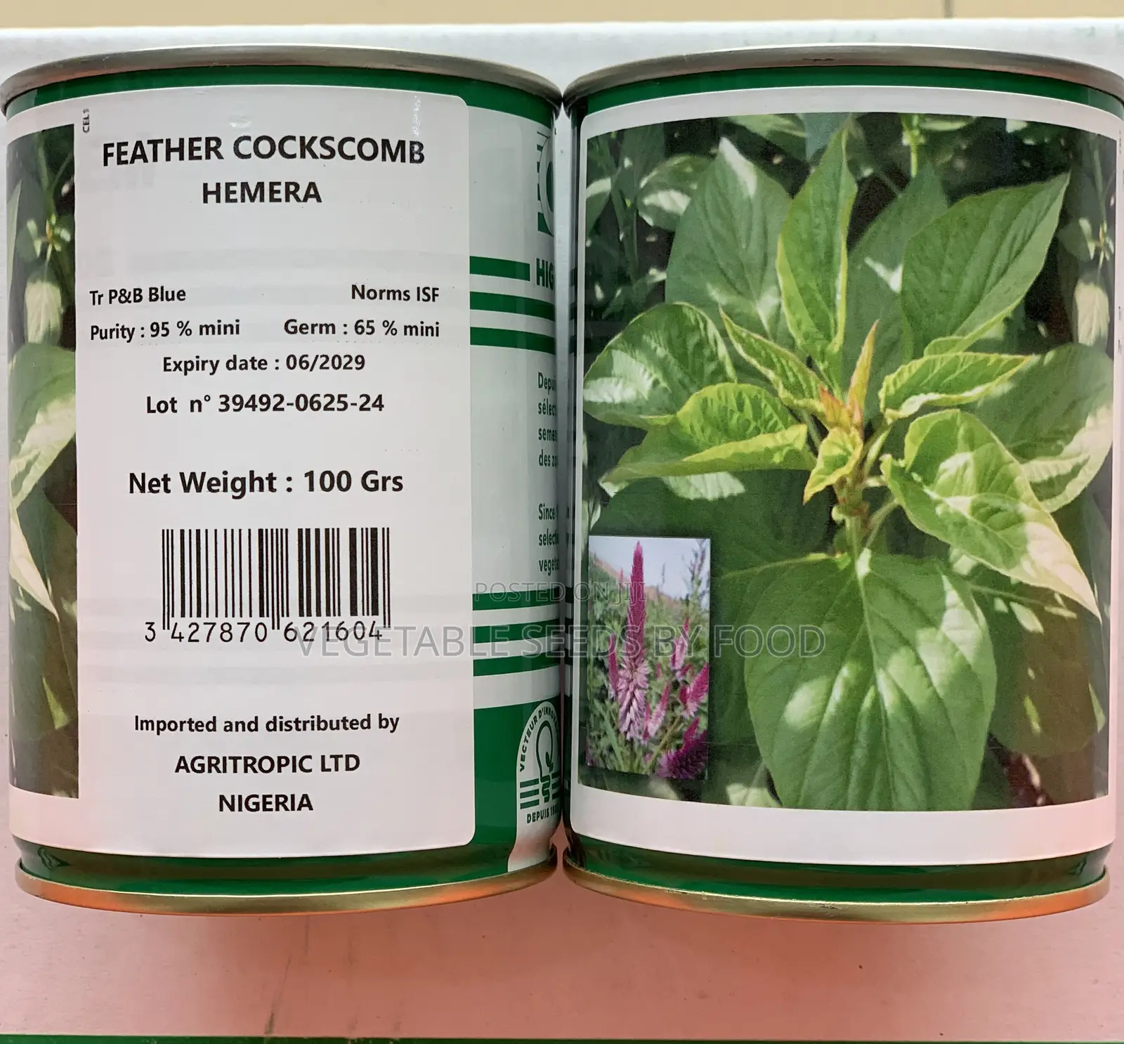 High Quality Shoko(African Spinach) Seed