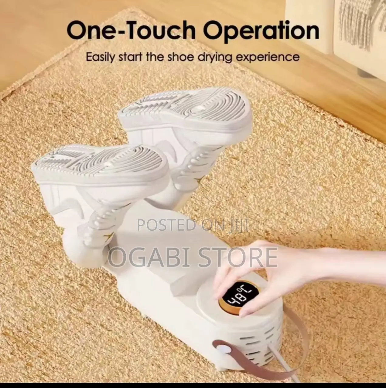 Intelligent Timer Shoe Dryer