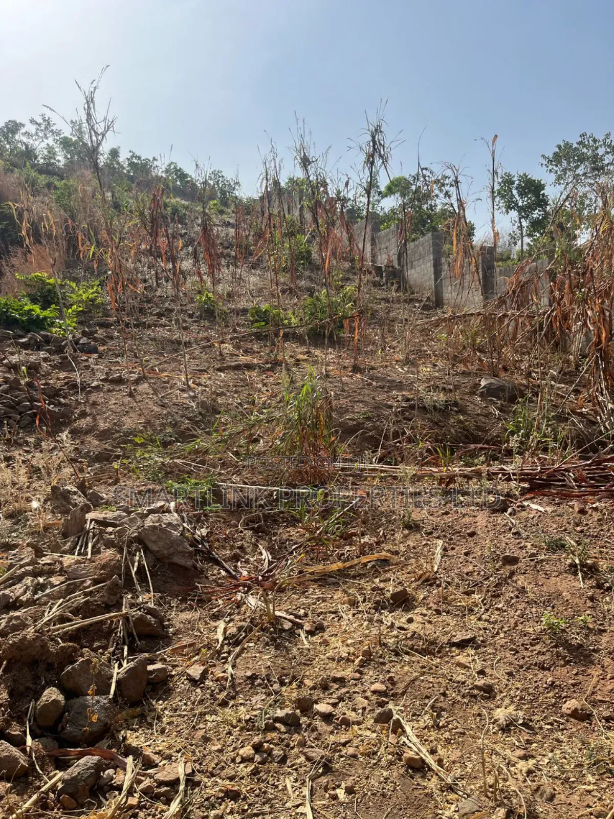 1800sqm Land for Sale
