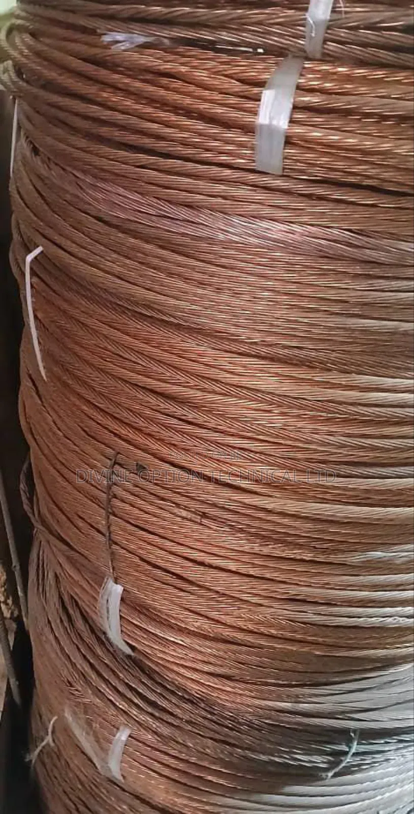70mm Bear Copper