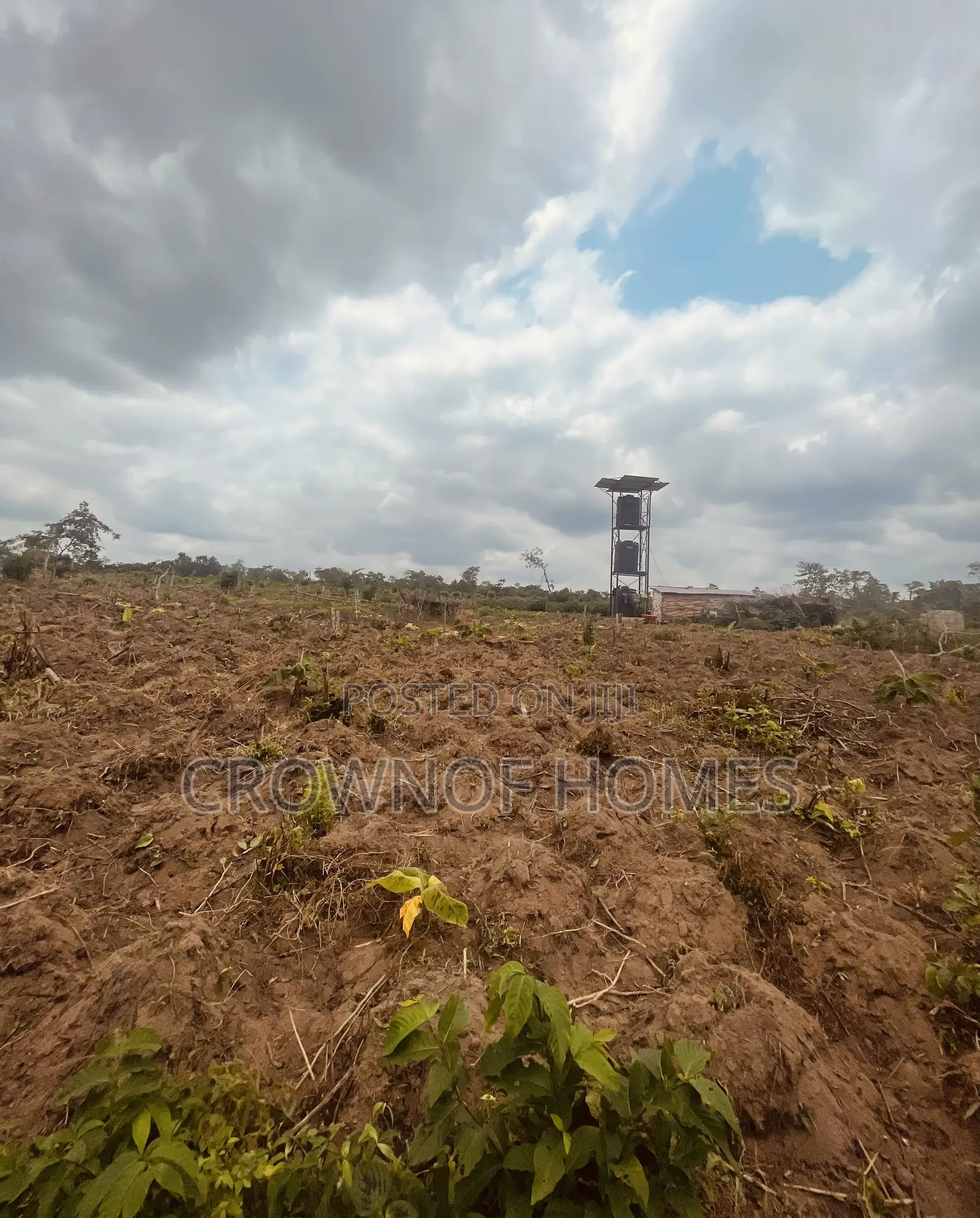 Affordable Farmland in Ogun State. We Can Manage Farm