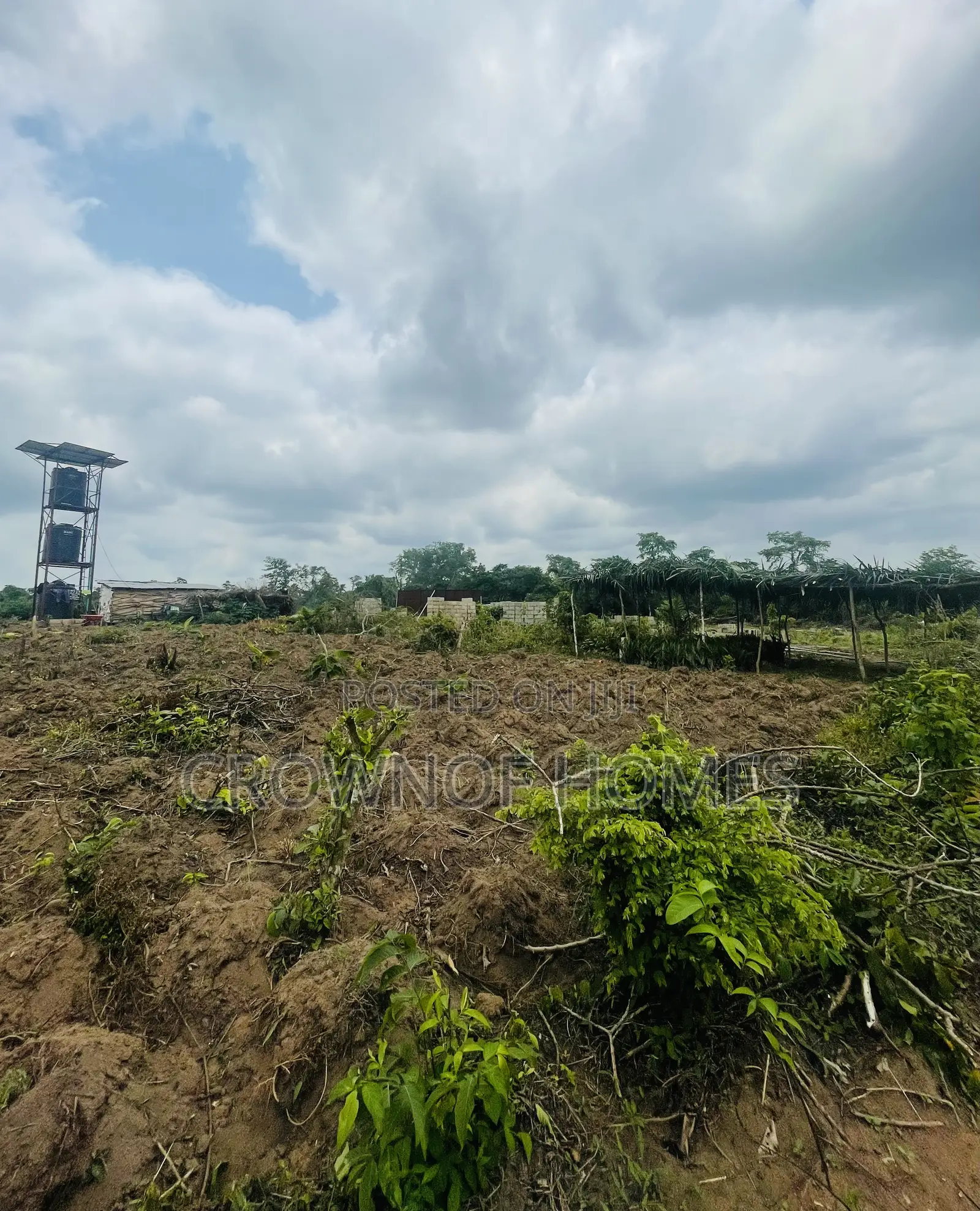 Affordable Farmland in Ogun State. We Can Manage Farm