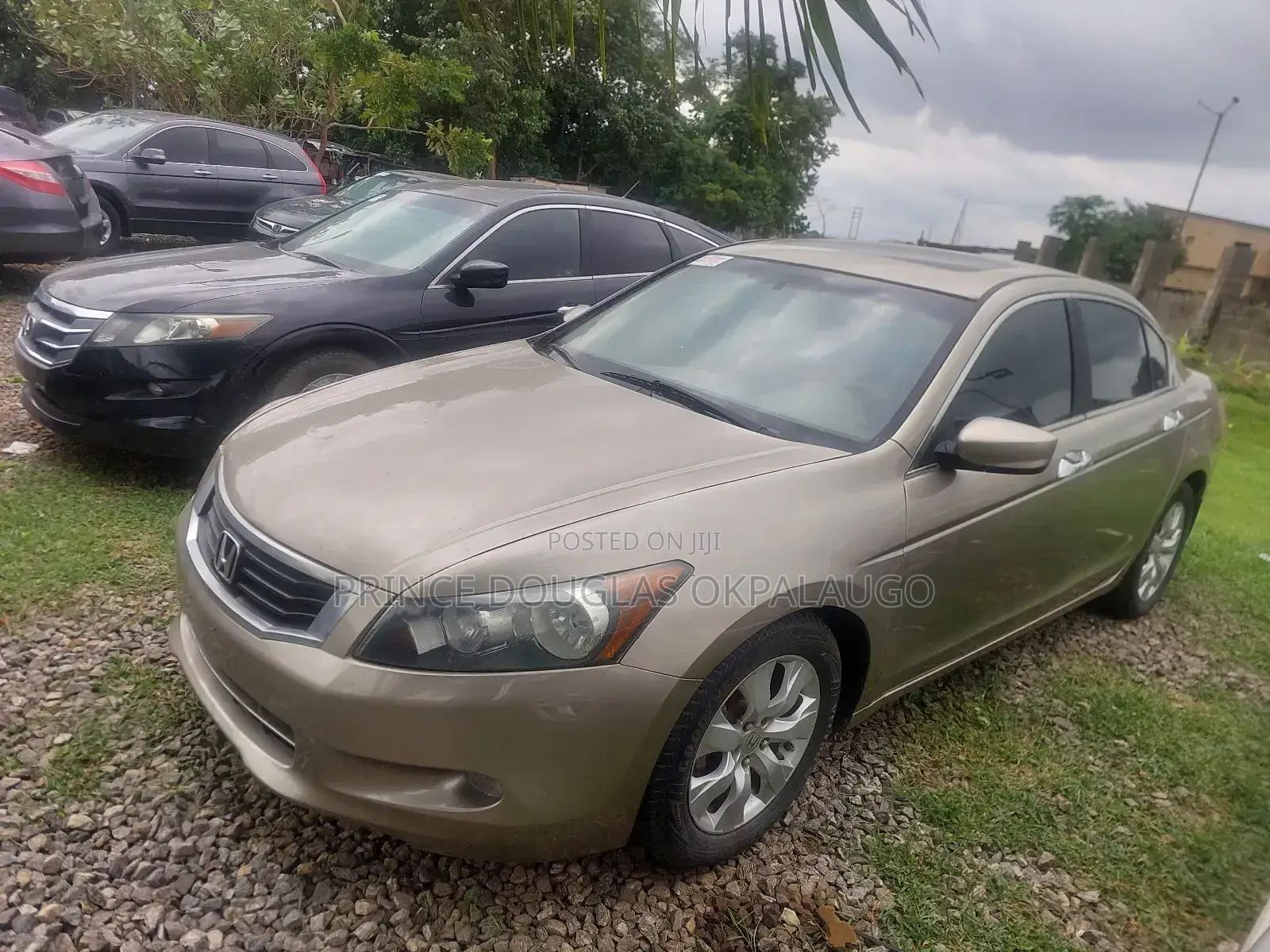 Honda Accord Sedan EX-L V6 Automatic 2009 Gold