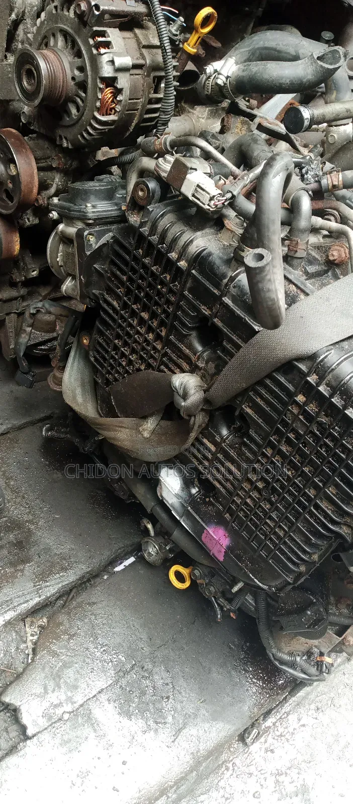 Nissan/Infiniti Fx35, Ex35,M35 2008-2011( Double Injection Mouth )