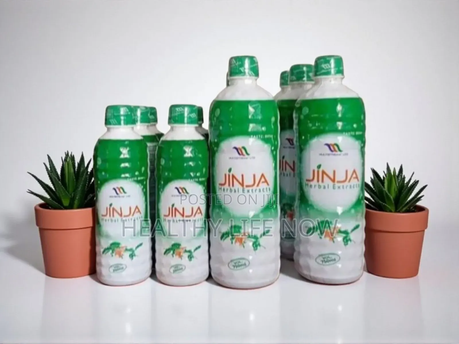 Become a Distributor for Jinja Herbal Extract Today