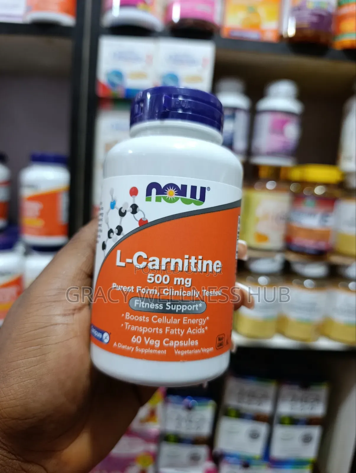 L-Carnitine 500mg Fitness Support