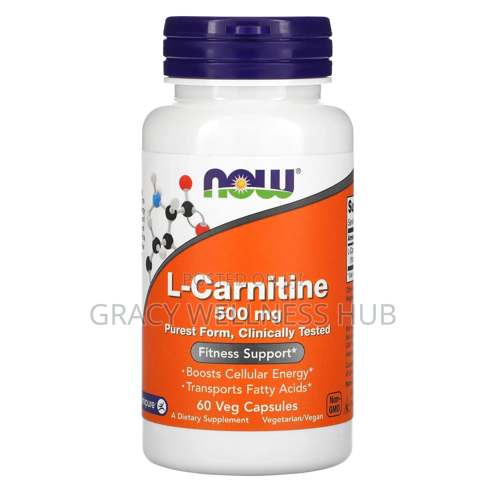 L-Carnitine 500mg Fitness Support