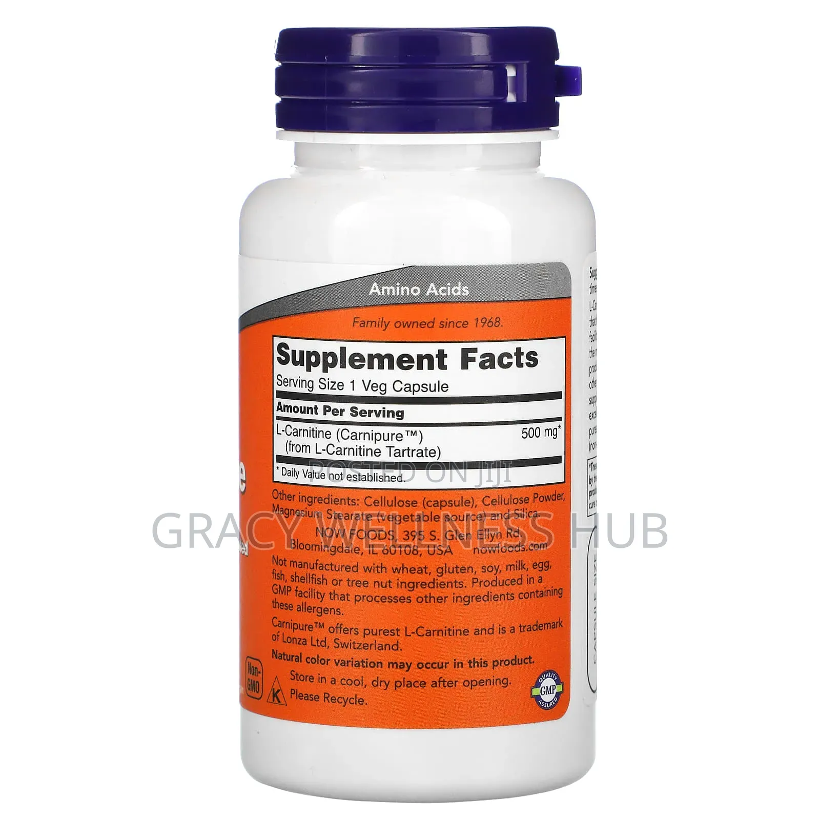 L-Carnitine 500mg Fitness Support