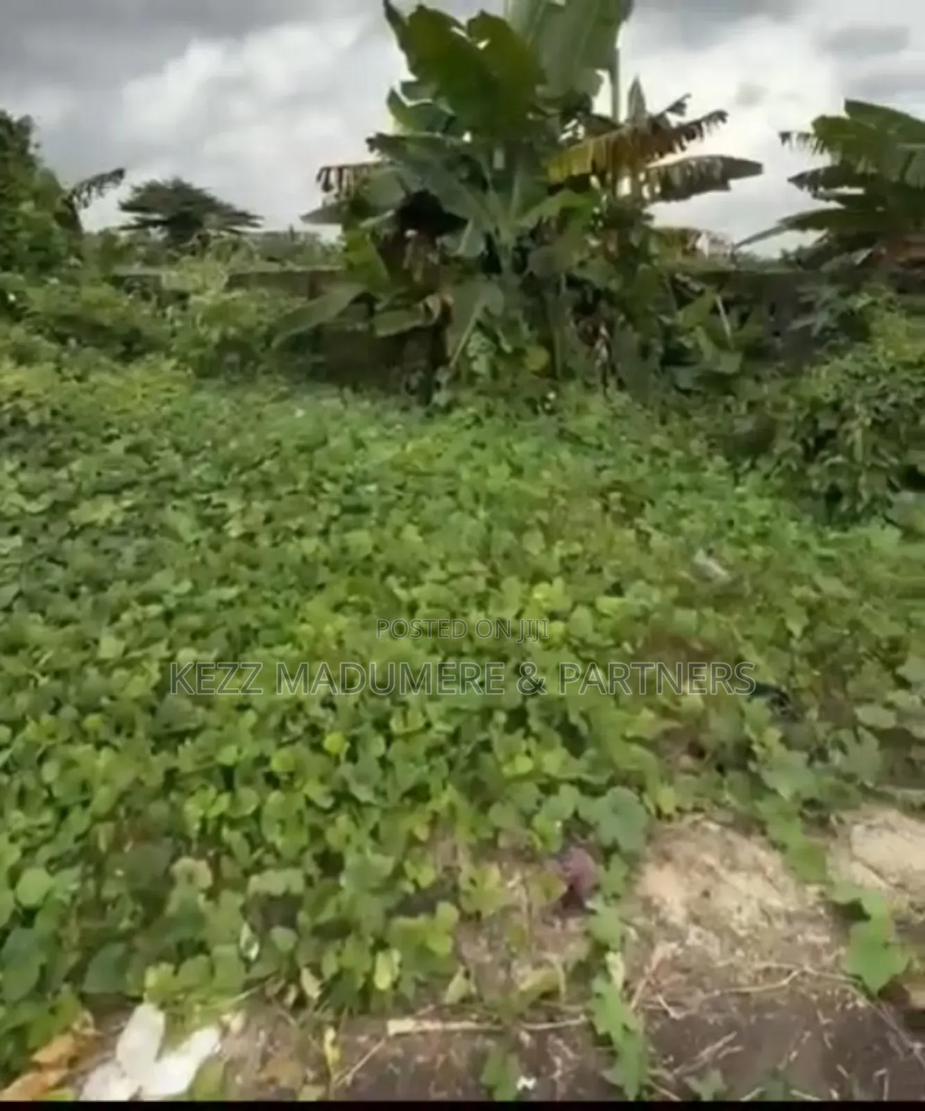 For Sale : One Plot of Land at Gra Phase 8, Opp Naf Harmony Est Eliozu