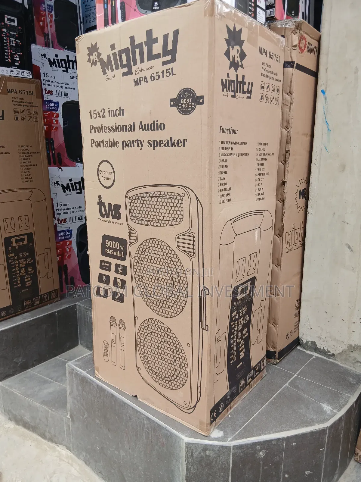 Double Public Address System 15 Inches Mighty Pro Audio