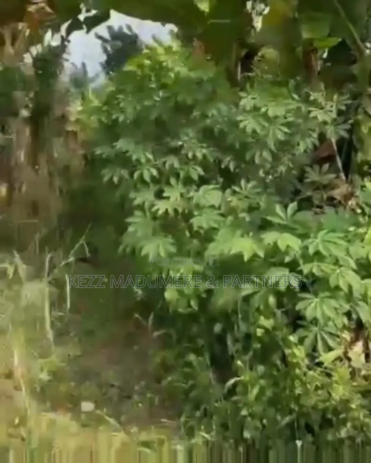 For Sale: 3 Plots at Gra Phase 8 ,Eliozu ,Port Harcourt