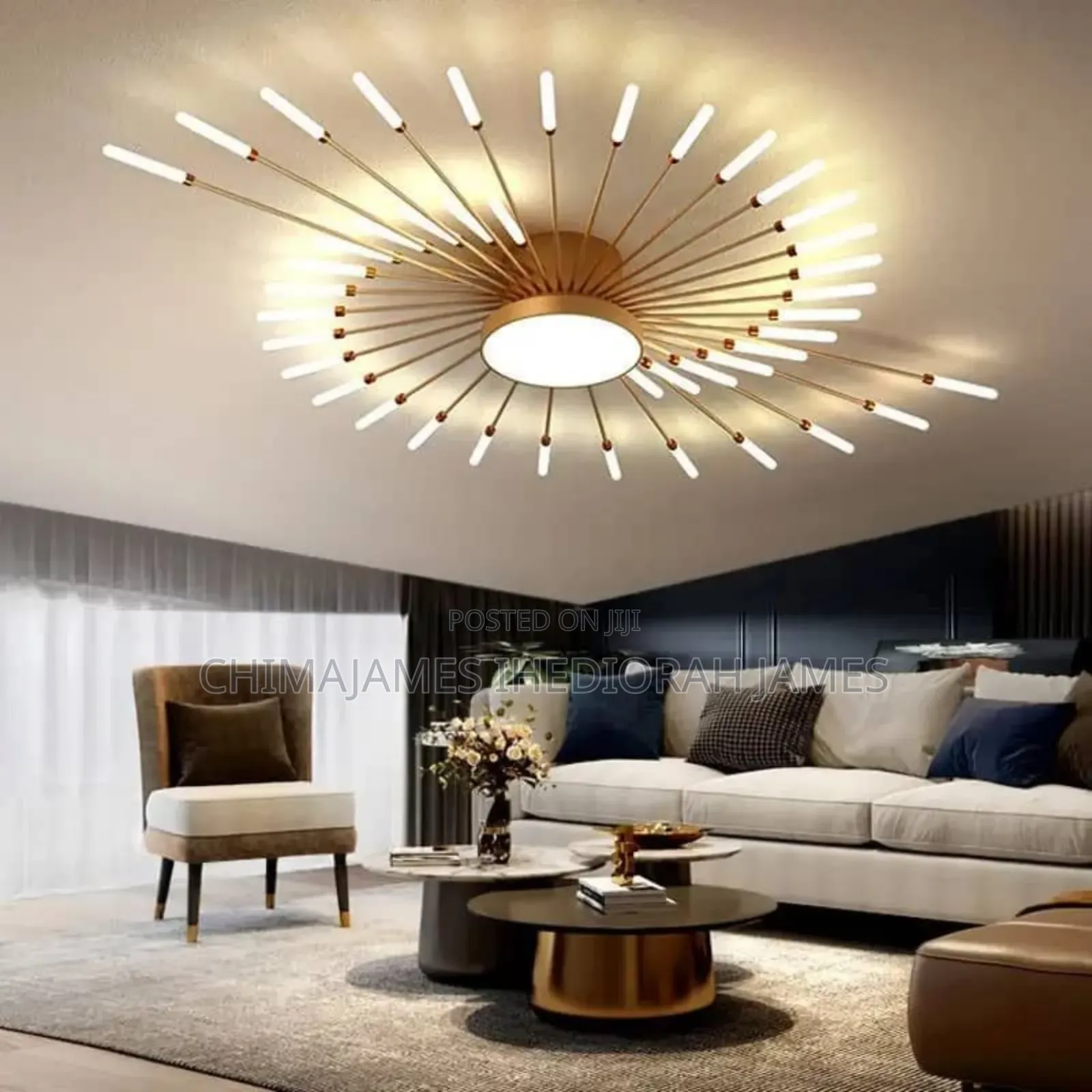 Modern Designer Led Ceiling Lamp Living Room Decoration Dining Bedroo