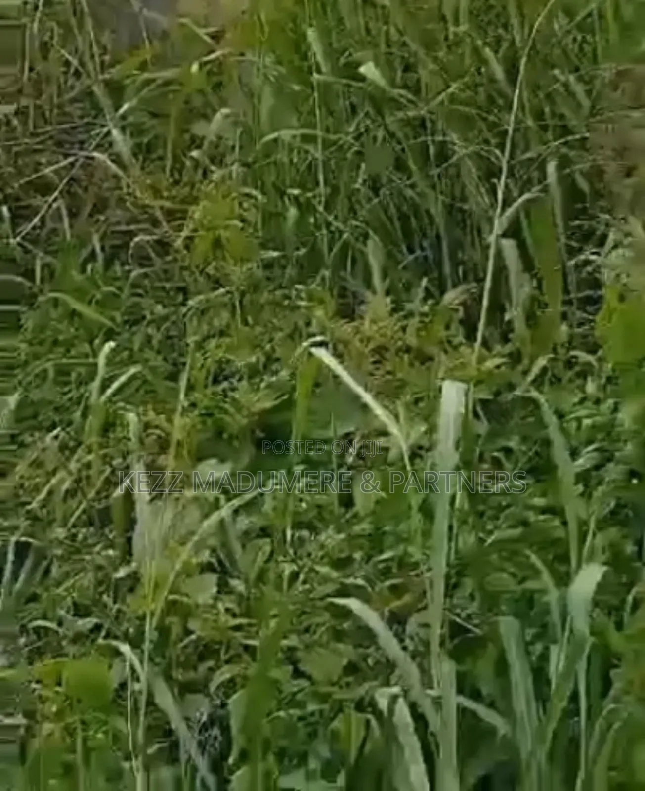 For Sale: 21⁄2 Plots Before Ait on the Major Nta Road, Ph