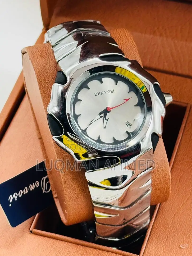 Denvosi Ceramic Steel Watch