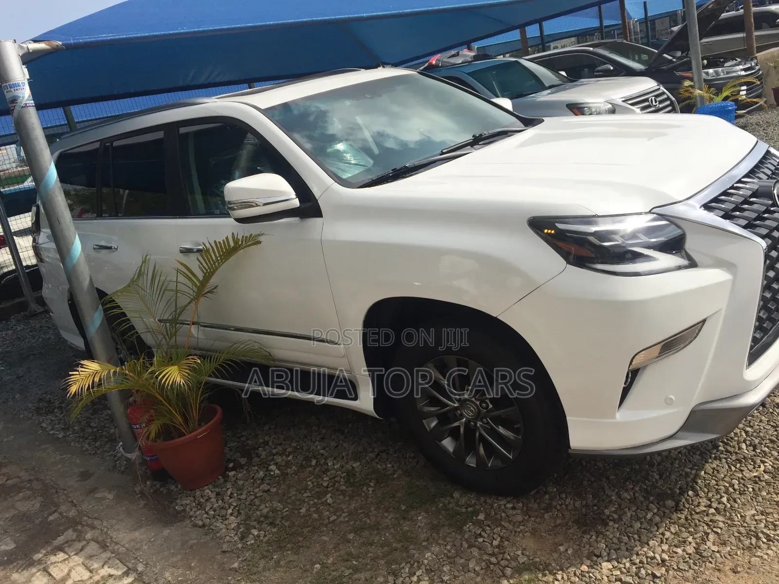 Lexus GX 460 Luxury 2020 White