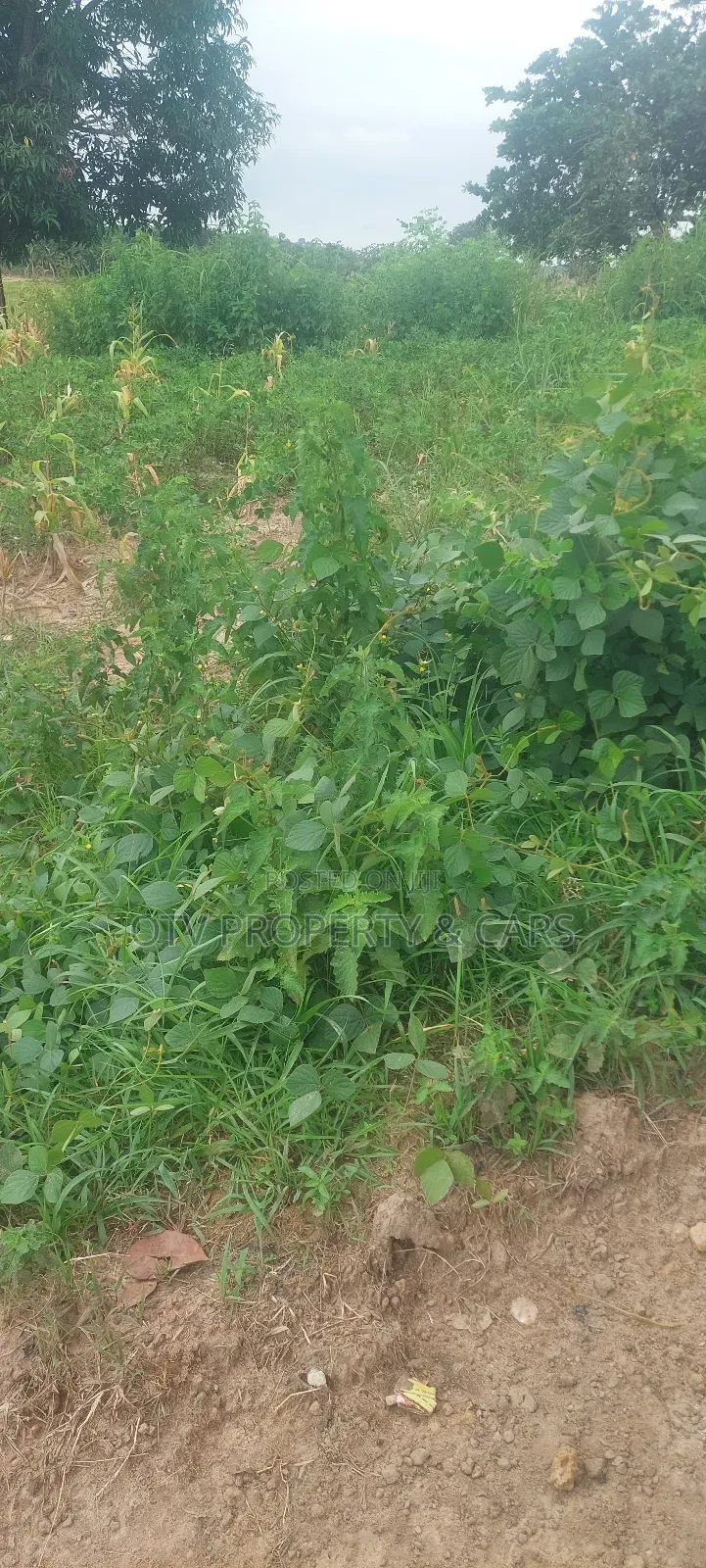 1600 SQM of Land With Structure at Maitama Abuja for Sale
