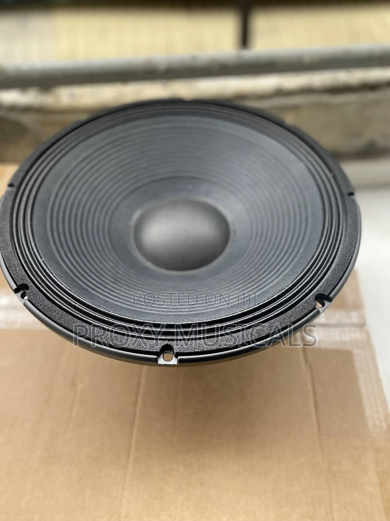 15inches Sound Prince Naked Speaker 2500watts