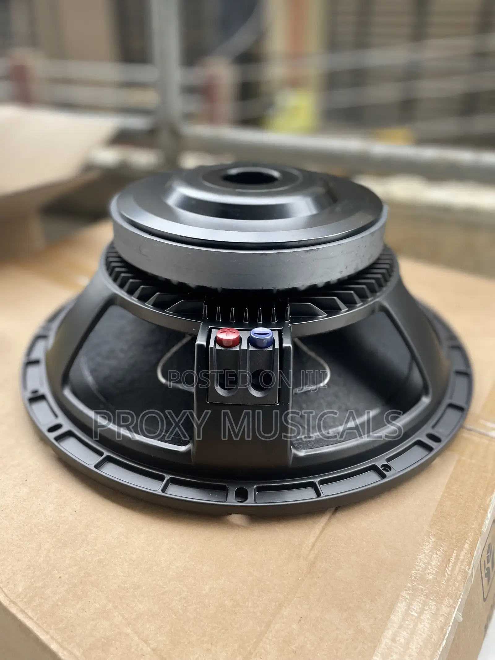 15inches Sound Prince Naked Speaker 2500watts