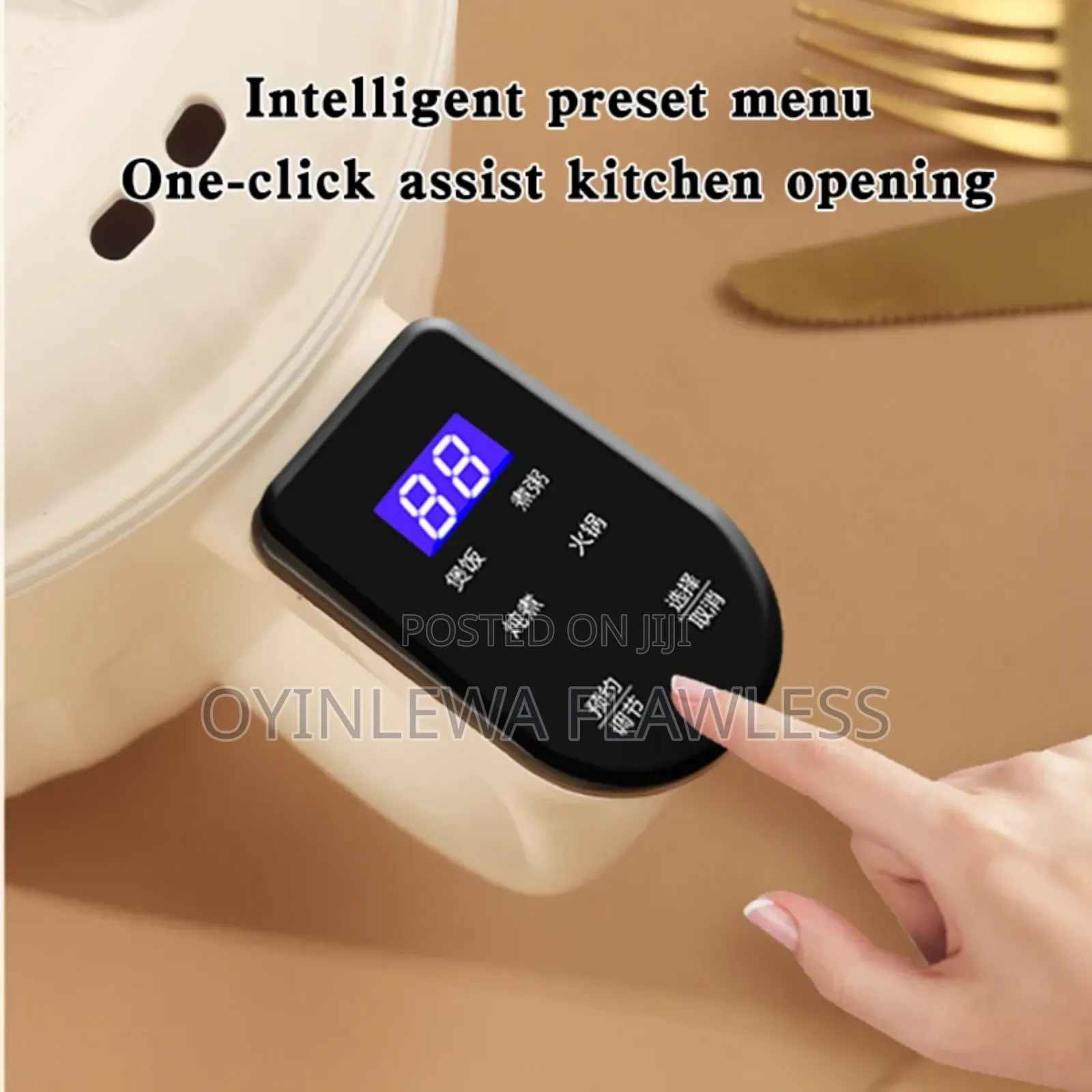 2l Multifunctional Mini Electric Cooking Frying Non-Stick Pot
