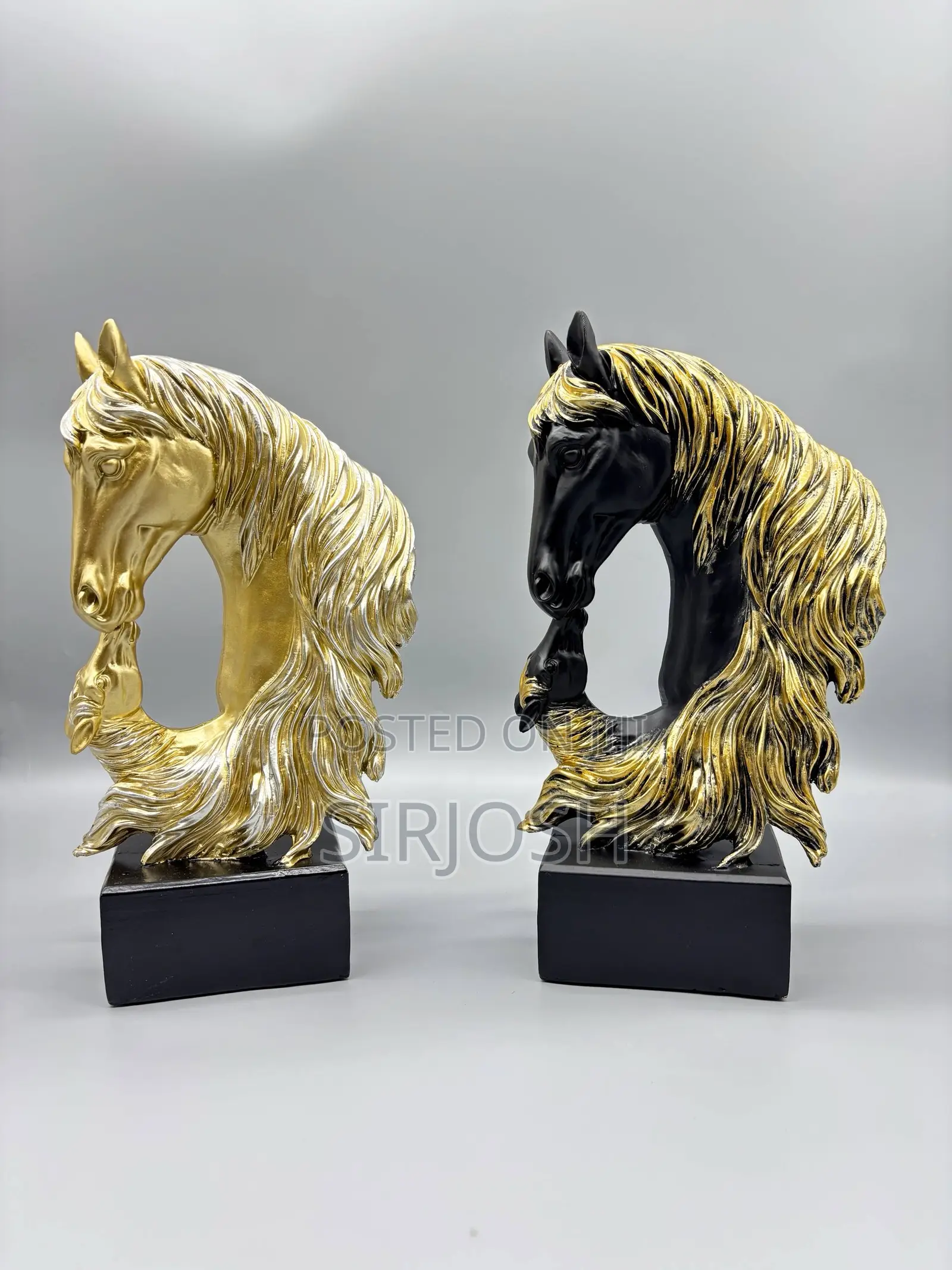 Horse And Foal