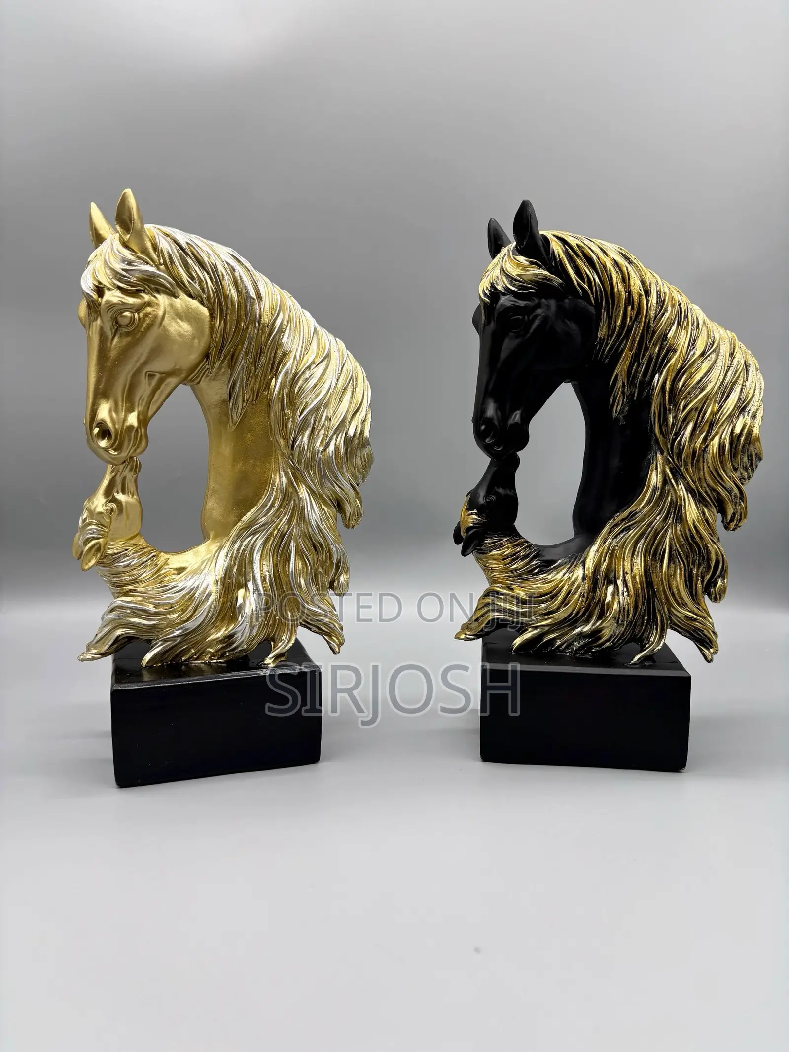 Horse And Foal