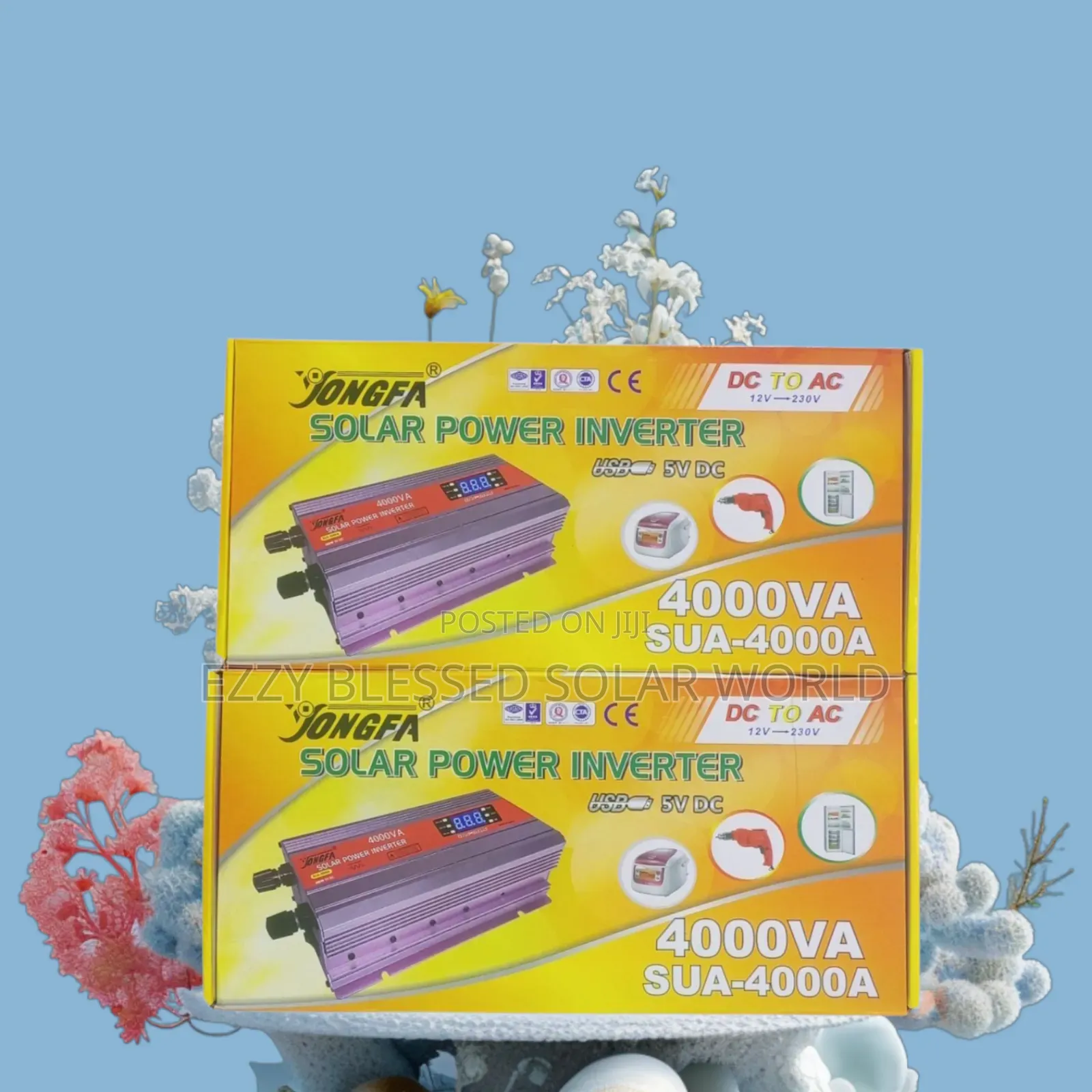 4000w Inverter, 12v
